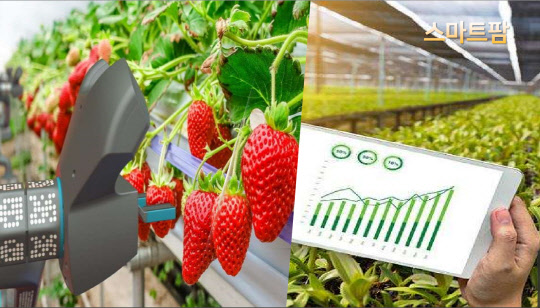 농협중앙회가 지원하는 스마트팜 모습. <농협중앙회제공>